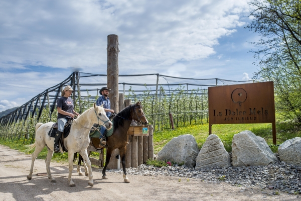 Hotel La Dolce Mela Agriturismo (Vezzano)